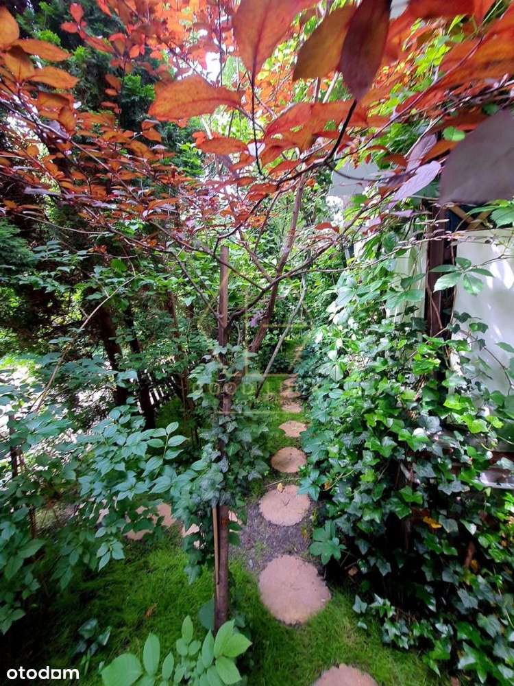 Sprzedam umeblowane mieszkanie z tarasem3pokoje72m-19