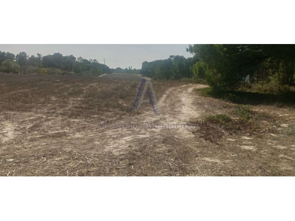 Terreno Rústico na Roça - Grande imagem: 2/6