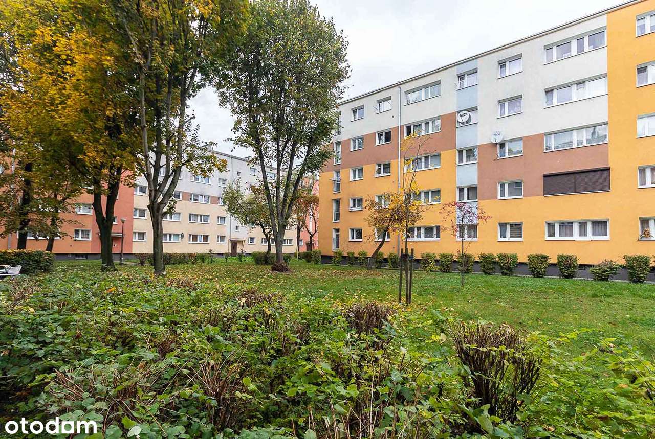 2-pokojowe mieszkanie | oddzielna kuchnia | Grunwald-18