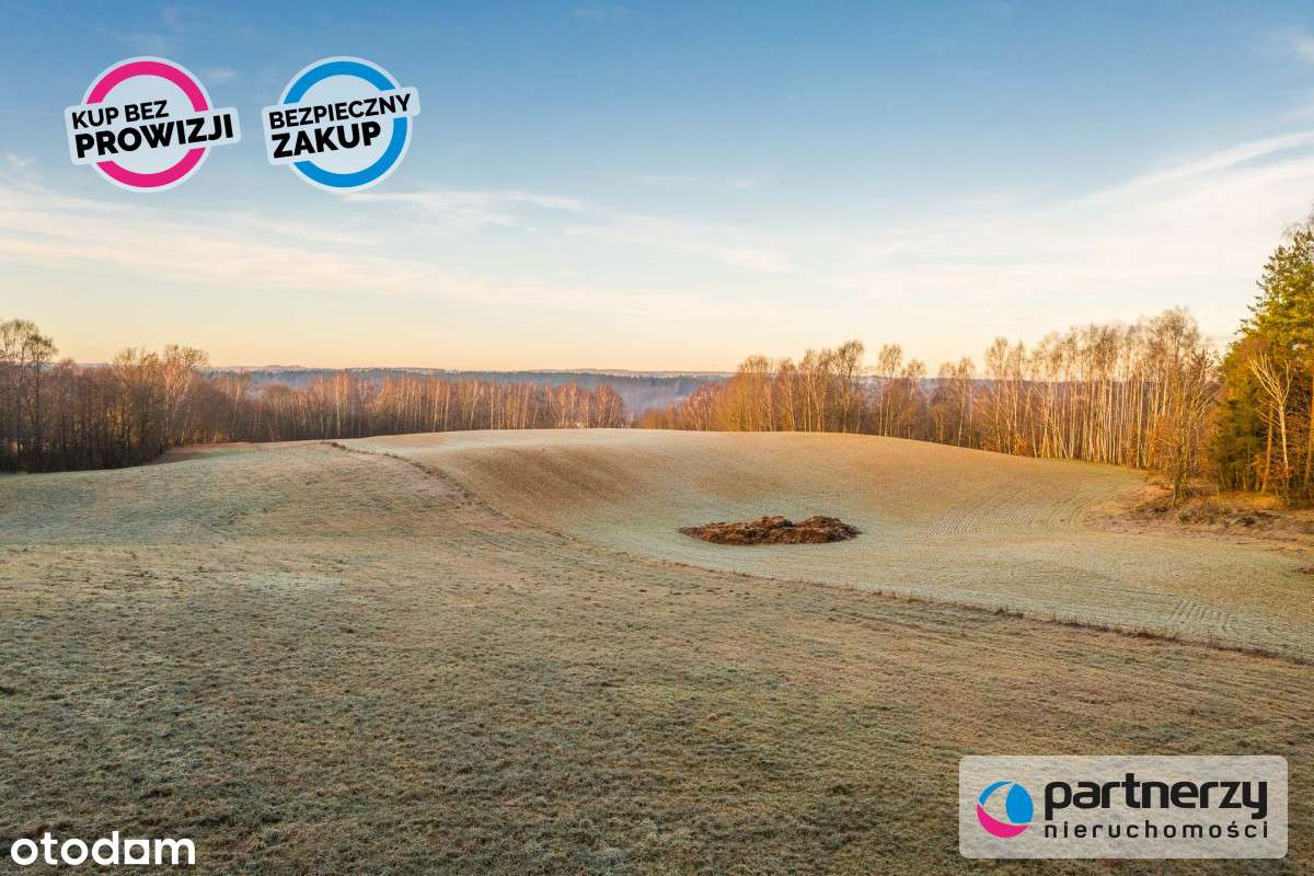 Działka pod Twoje siedlisko/ Stadninę koni! - Pełny obrazek: 4/15