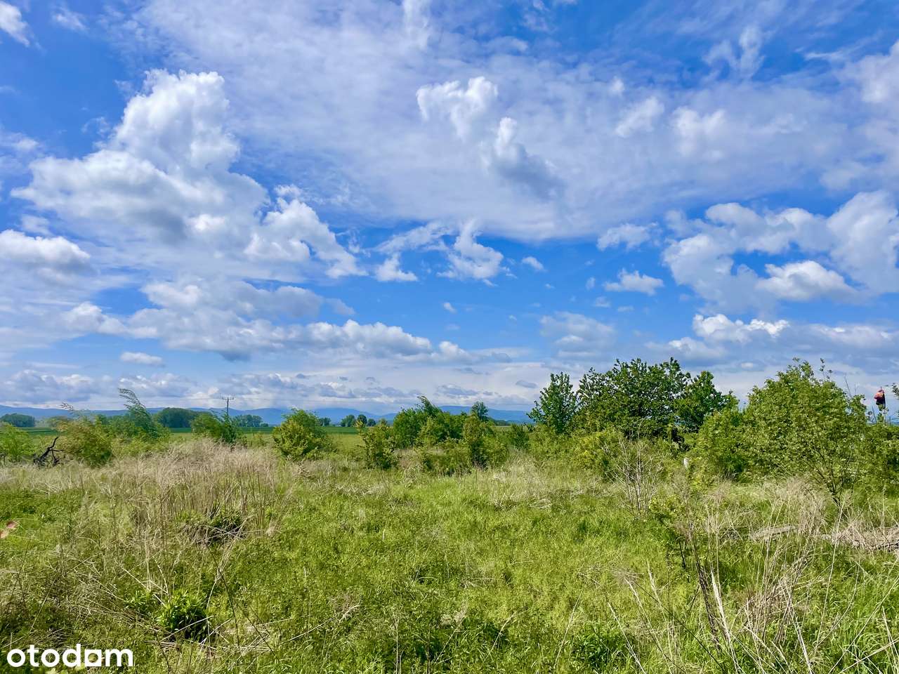Siedlisko z Widokiem na Góry - 40 Arów-5