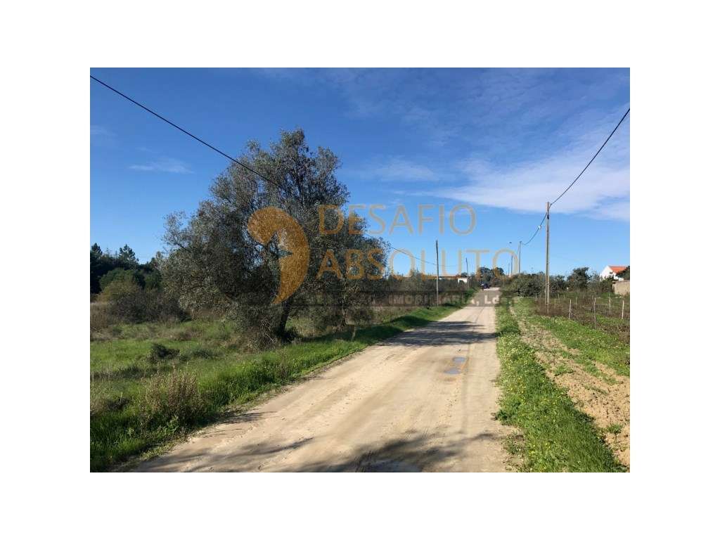 Terreno Rustico - Poceirão-1