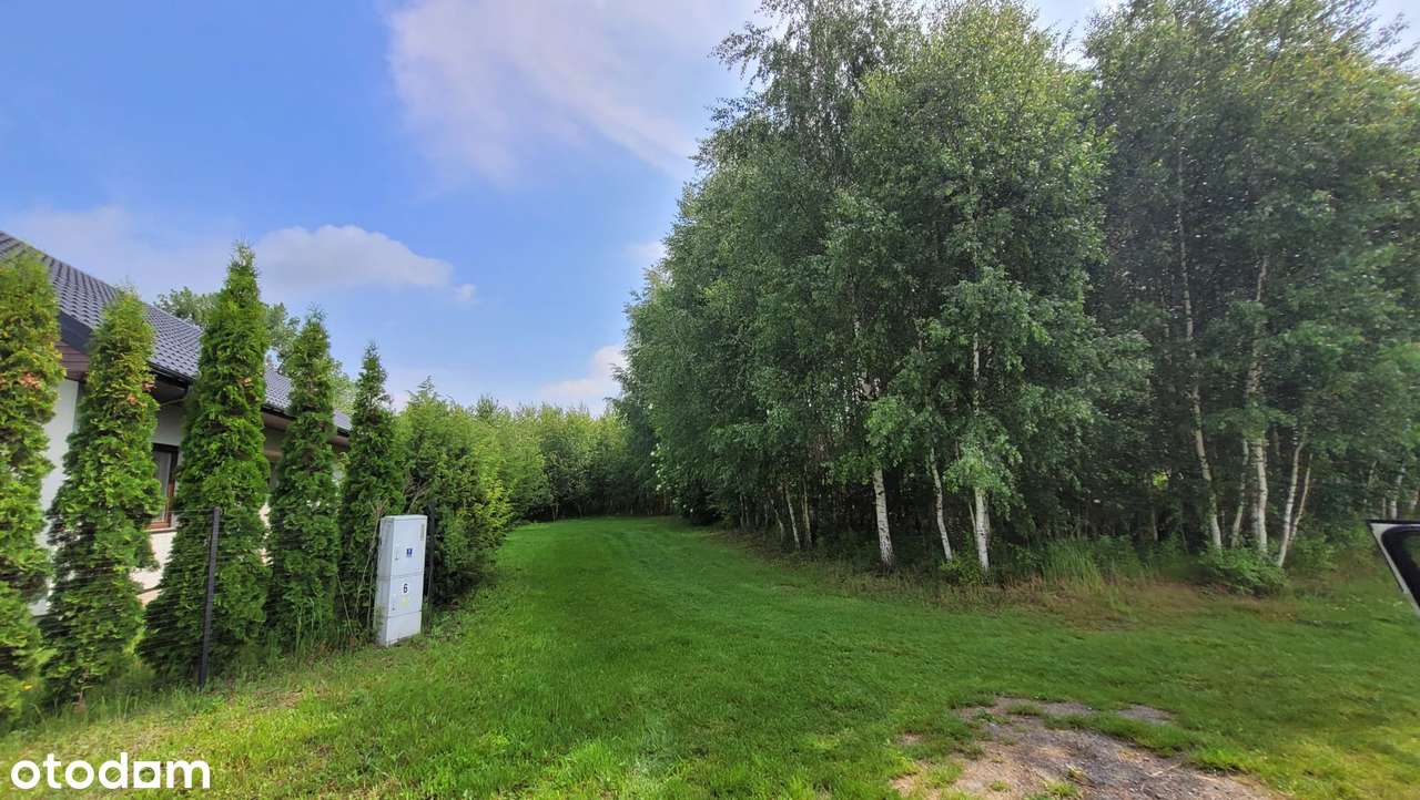 Działka z MPZP o powierzchni 850m2 / Dachowa gm. Kórnik - Pełny obrazek: 4/7