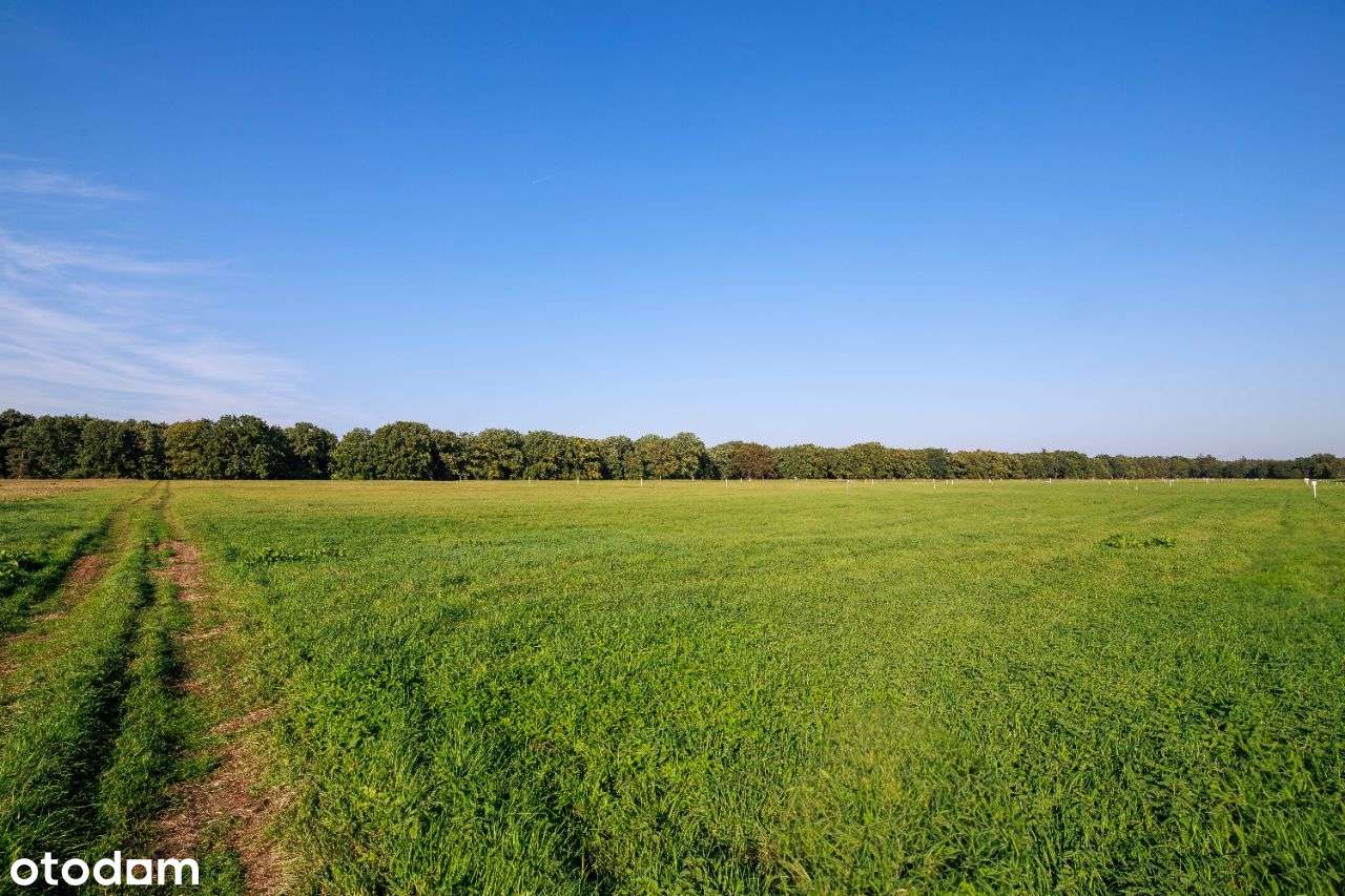 Działki budowlane blisko morza - Nowęcin - Pełny obrazek: 5/12