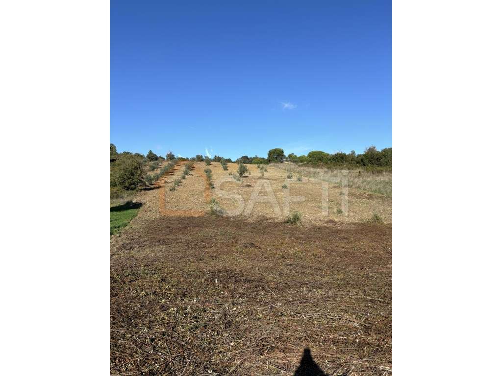 Terreno Rústico Arruda do Pisões - Negociável - Grande imagem: 3/4