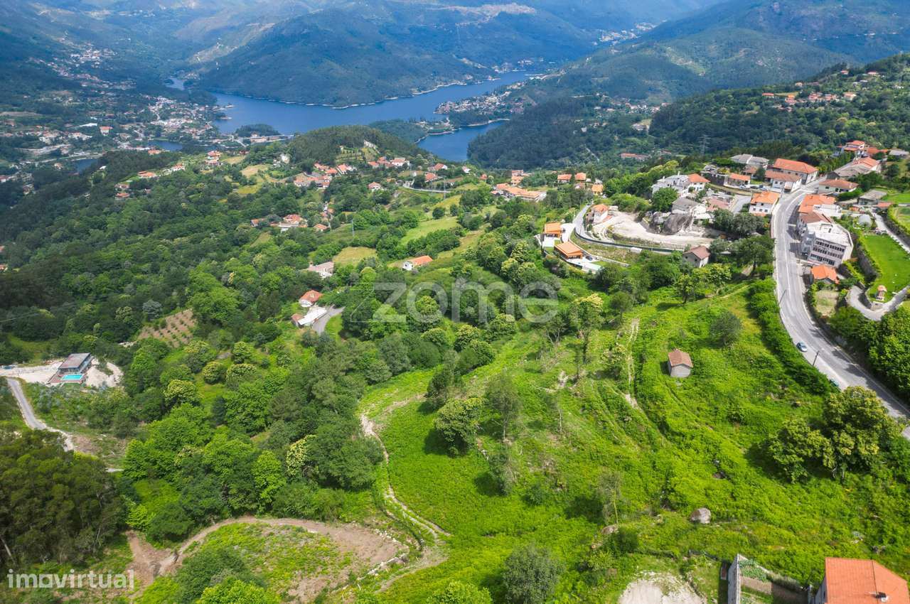 Terreno com 31 710m² de área total situado em Ventosa, Vieira do Mi... - Grande imagem: 3/14