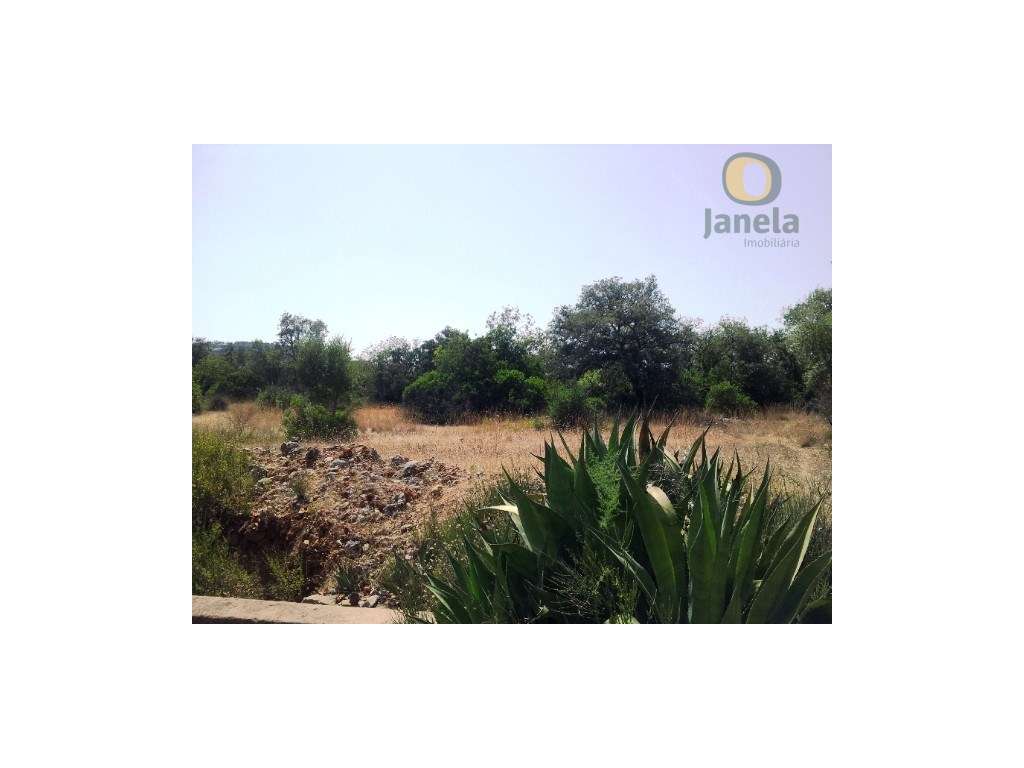 Terreno perto de São Brás de Alportel - Grande imagem: 5/9