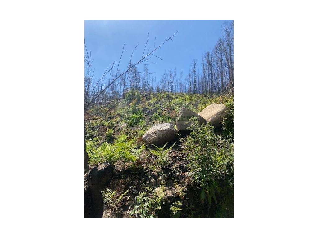 TERRENO PARA CONSTRUÇÃO - Grande imagem: 5/11