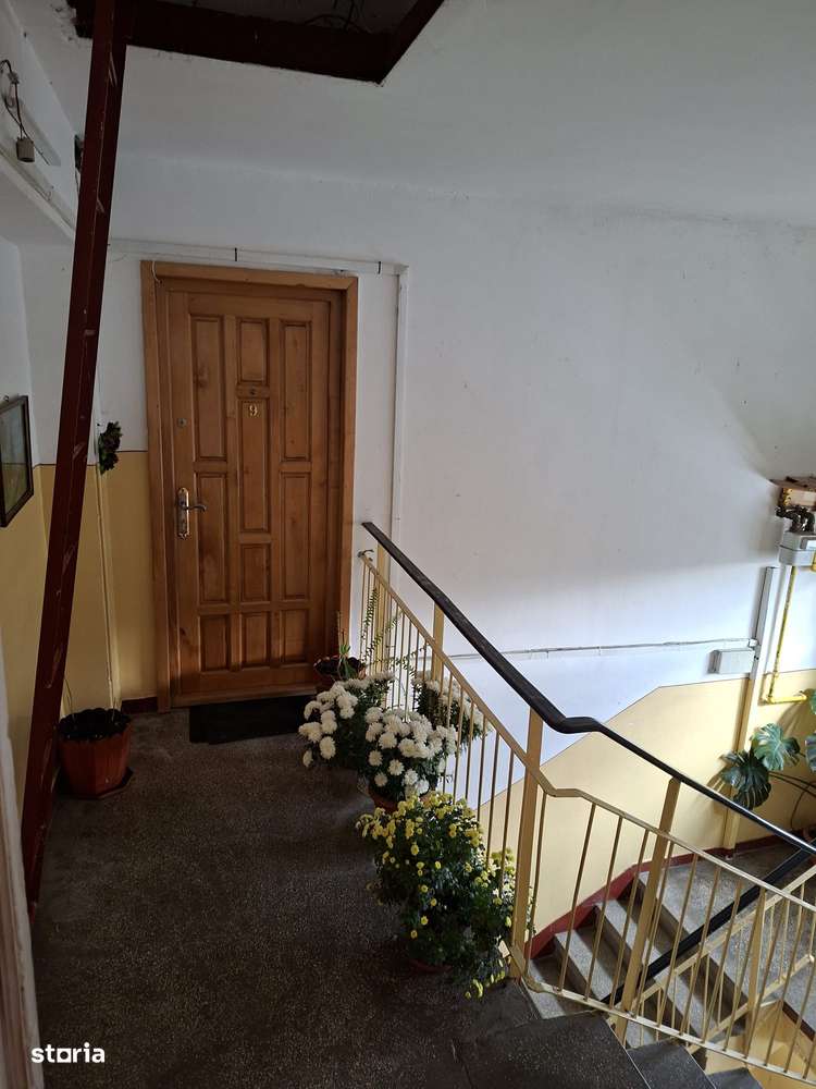 4 camere Banat , Decomandat / Centrală , Amplasament DEOSEBIT-12