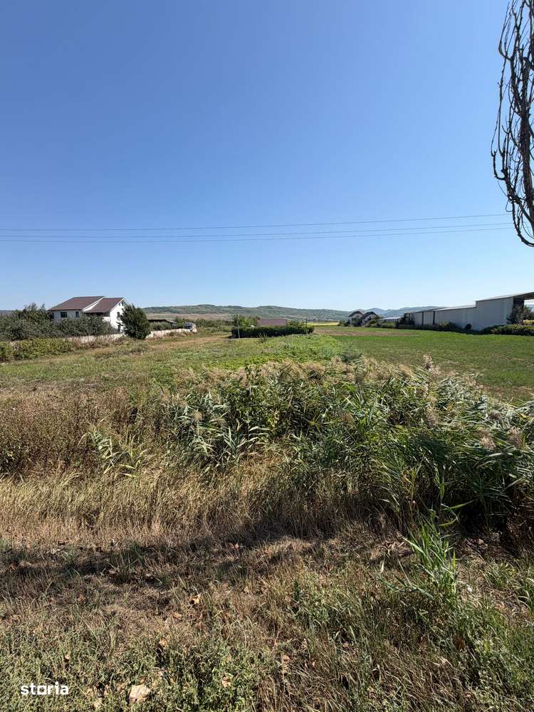 Vand Teren ITRAVILAN intersectie cu TRAIAN - BUHOCI , la STRADA-7