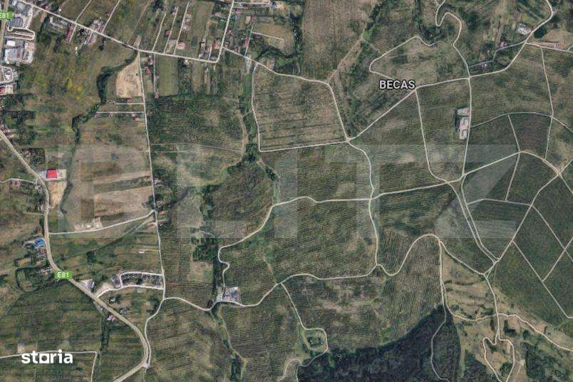 EXCLUSIVITATE! Teren intravilan, 2500 mp, utilitati, zona Colonia Beca - Imagine principală: 2/2