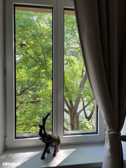 Śródmieście 2 pokoje - Pełny obrazek: 4/7