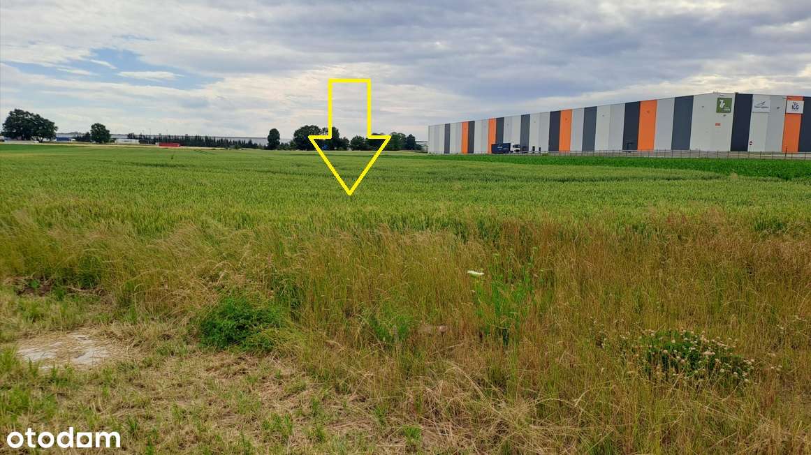 Działka pod logistykę, przemysł 4,8 ha - Pełny obrazek: 3/4