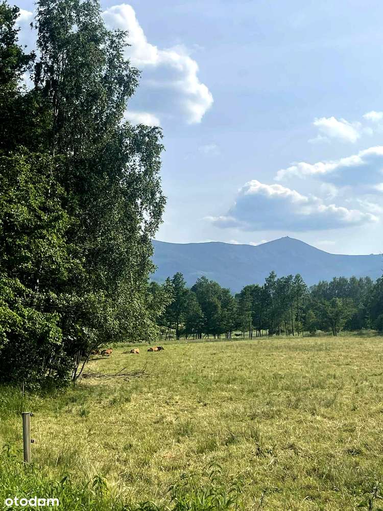 NOWA CENA - OKAZJA! Działka z widokiem na Śnieżkę-3