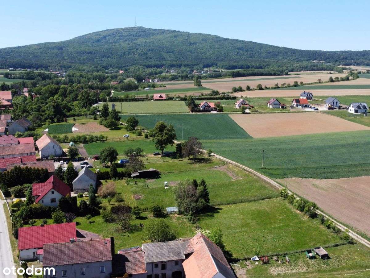 Dom do generalnego remontu z dużą działką-1