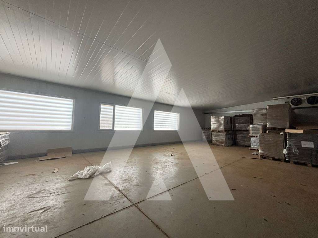 Armazém para venda em Águeda-15