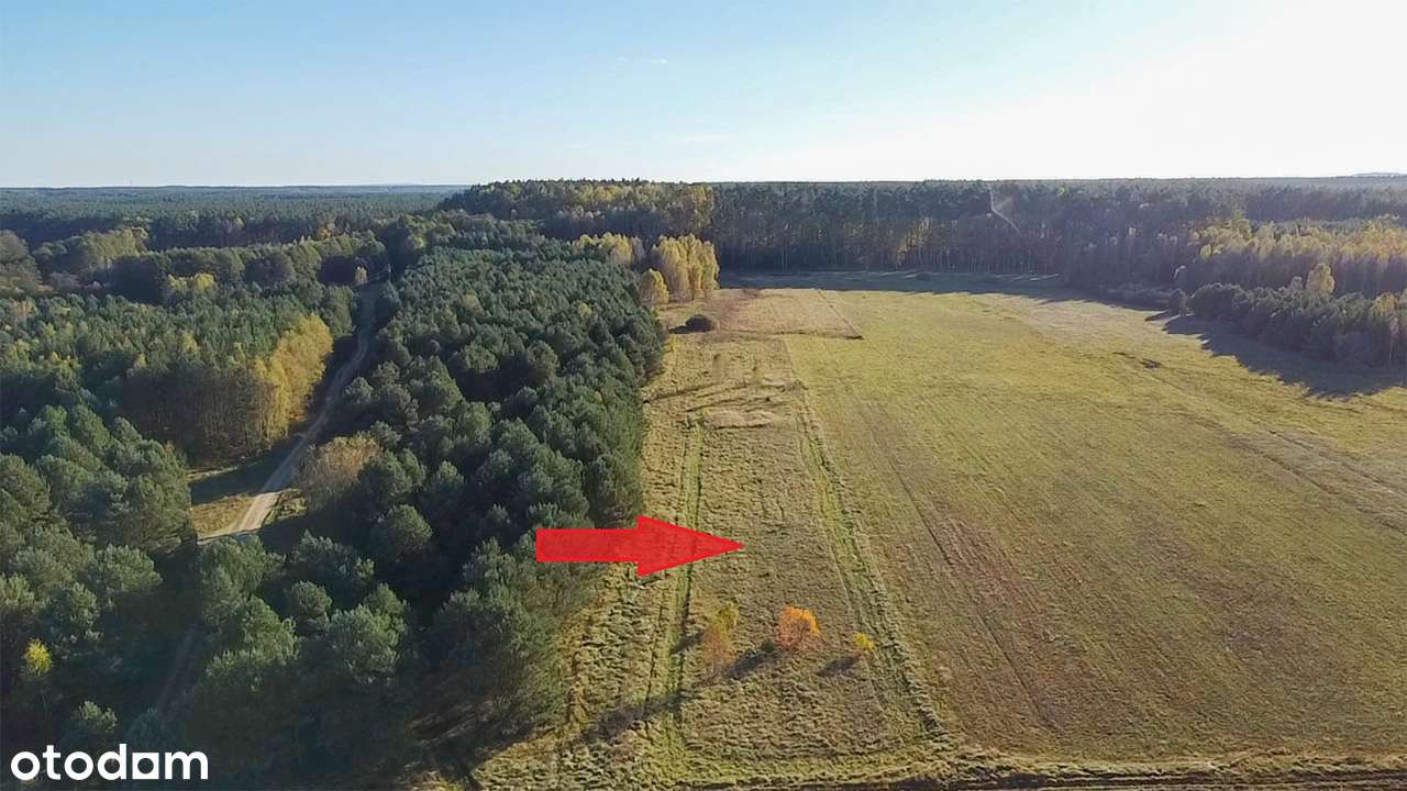 Na sprzedaż dom, stan surowy zamk. Krępsko. - Pełny obrazek: 5/15