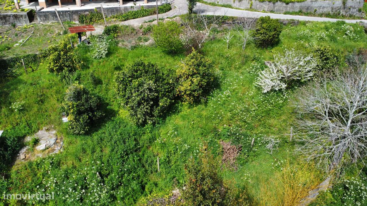 Terreno, 1 150 m², Pessegueiro do Vouga - Grande imagem: 5/13