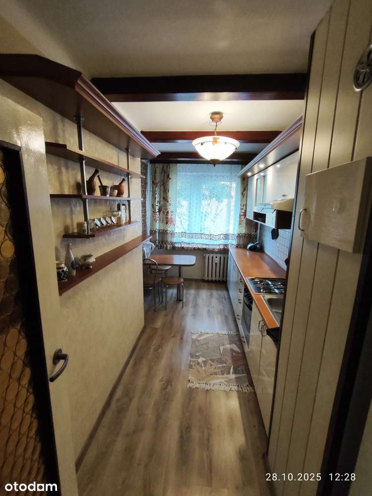 Dogodna lokalizacja. Przyjazne zwierzętom. - Pełny obrazek: 4/12