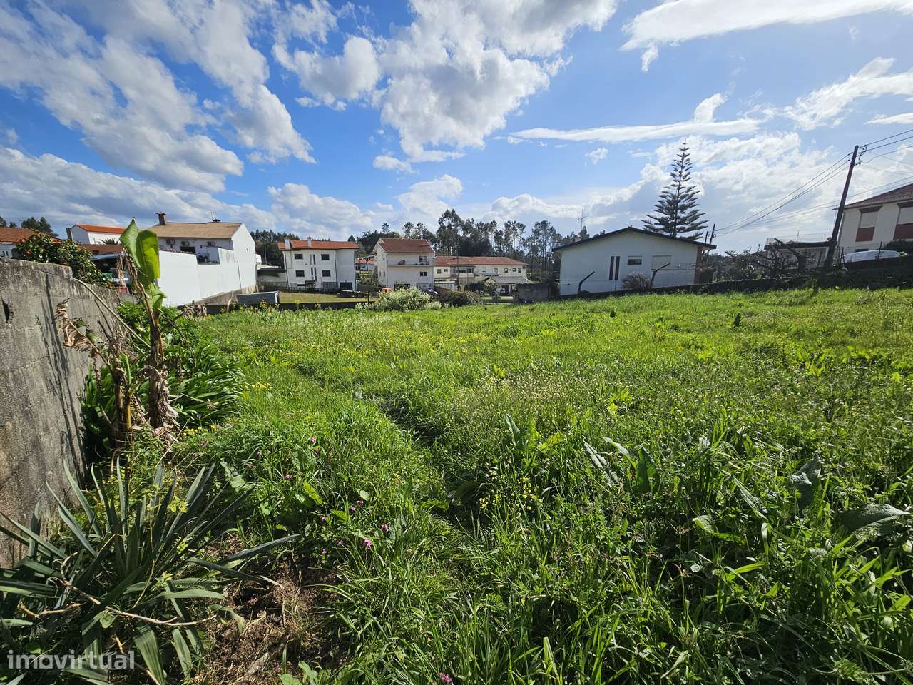 Terreno em Nogueira do Cravo OAZ - Grande imagem: 4/9