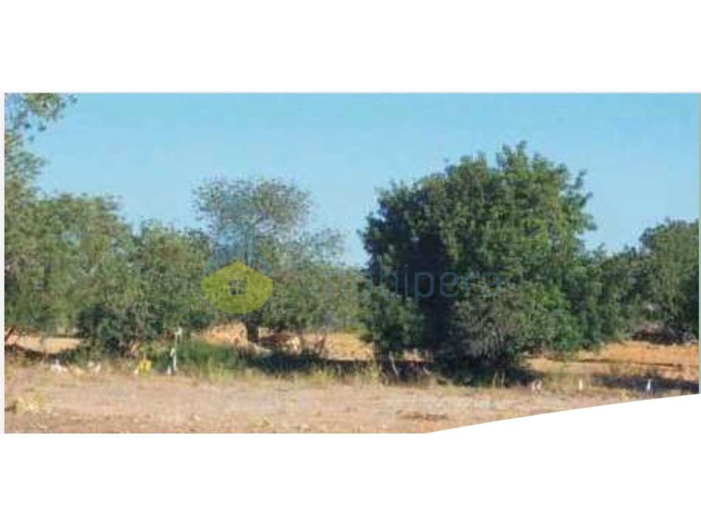 Terreno com PIP Aprovado para Construção Turística-12