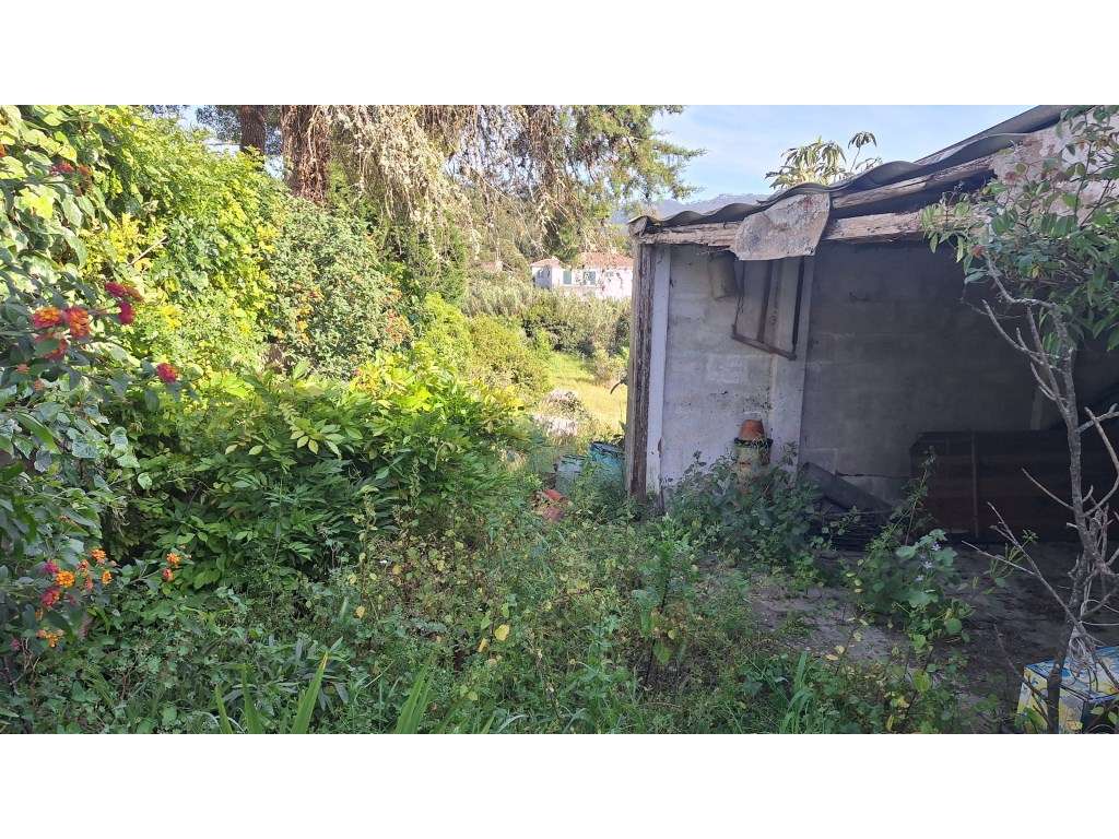 Moradia T3 no Mucifal, Colares, com terreno de 1165 m-17