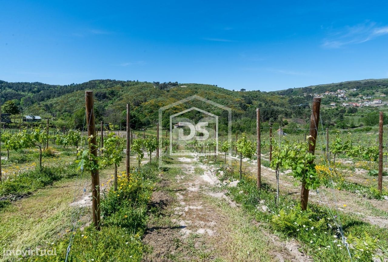 Herdade  Venda em Gove,Baião