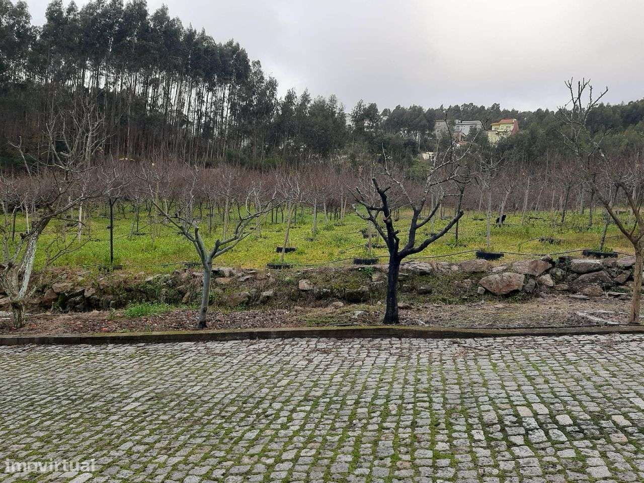 Vende Terreno Alfena Valongo - Grande imagem: 2/34