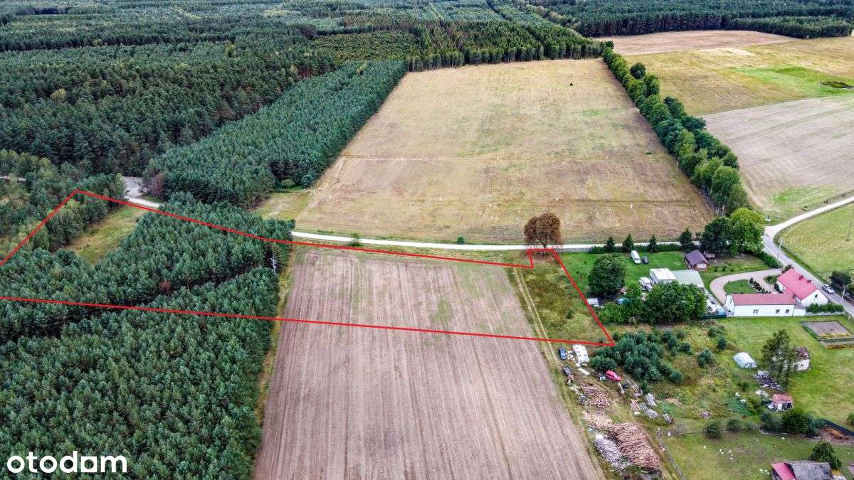 Działka 2 Ha w dobrej cenie-4