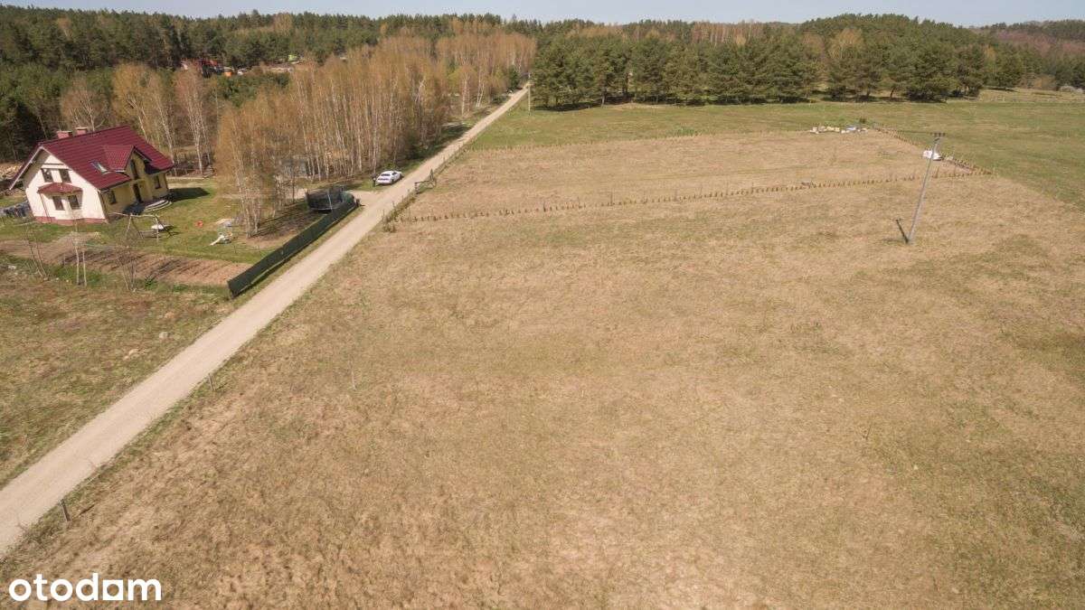 Działka W Dąbrówce - Pełny obrazek: 5/6