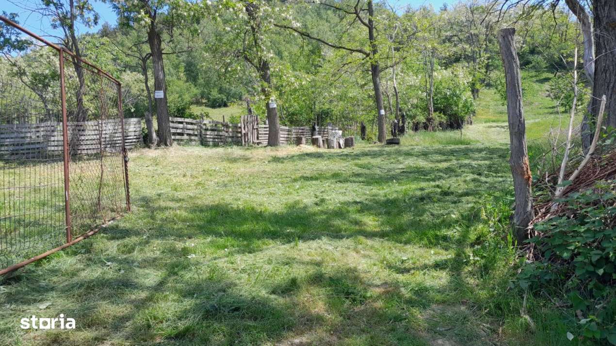 Teren extravilan de vanzare – Stanesti, 3.861 mp, livada de ciresi-12