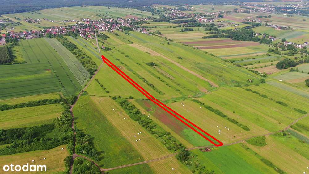 Działka rolna Poręba-Niwki-4