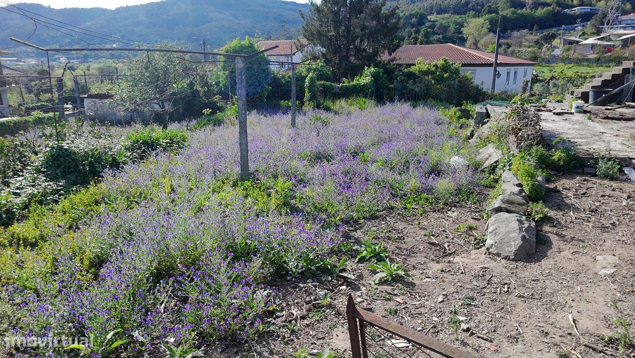 Ruína com Terreno Urbano de 600 m² em Longos – a 10 min de Braga-12