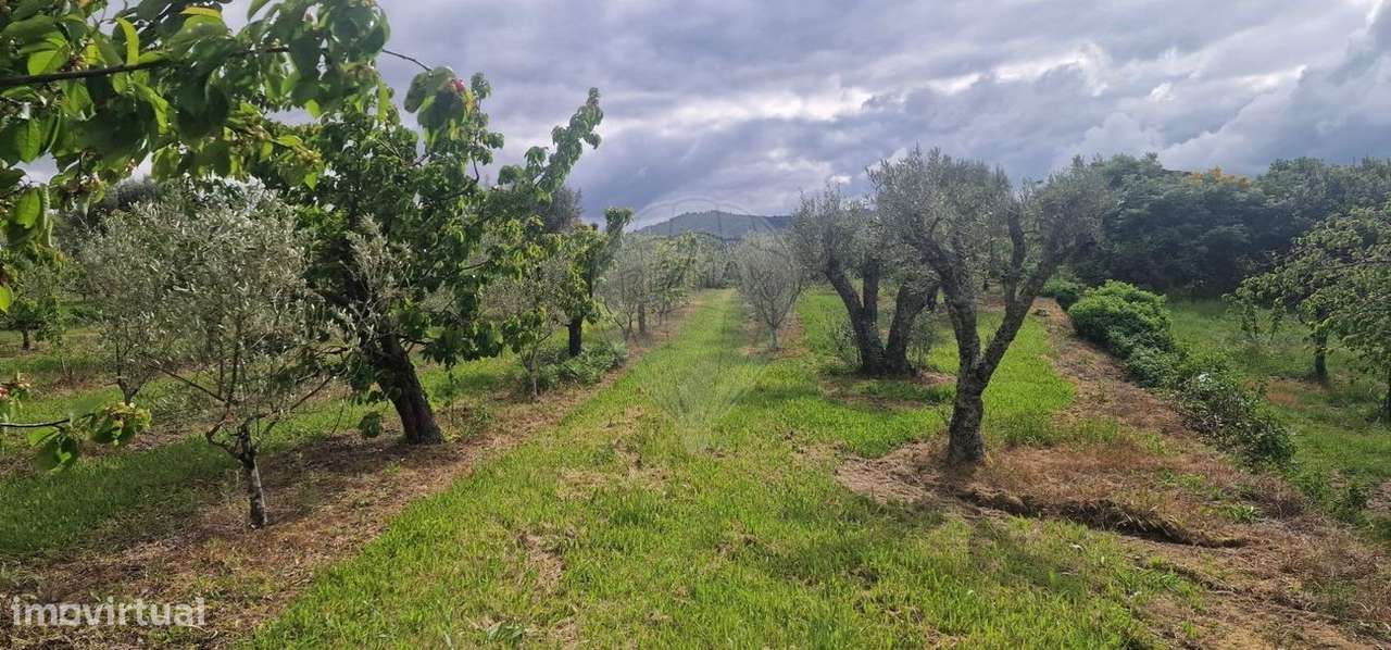 Terreno  para venda - Grande imagem: 4/10