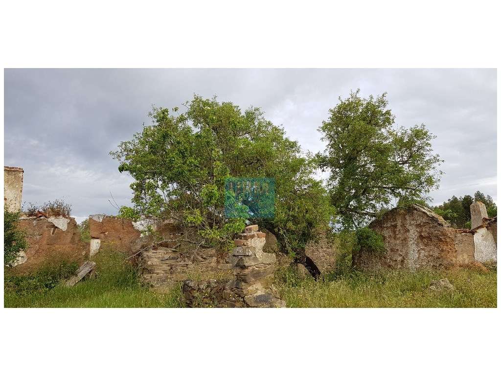 QUINTA - Grande imagem: 5/30