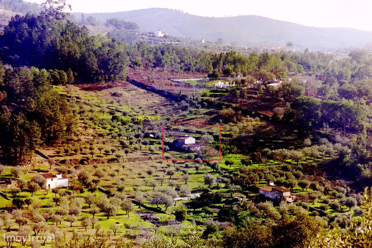 Portalegre , ótima localização  Covões _Lagem-Covas de Belém - Grande imagem: 4/5