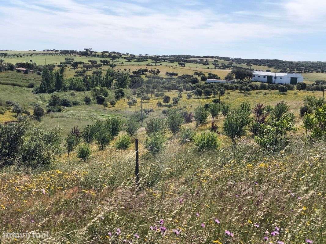 Quinta T6 para venda-16