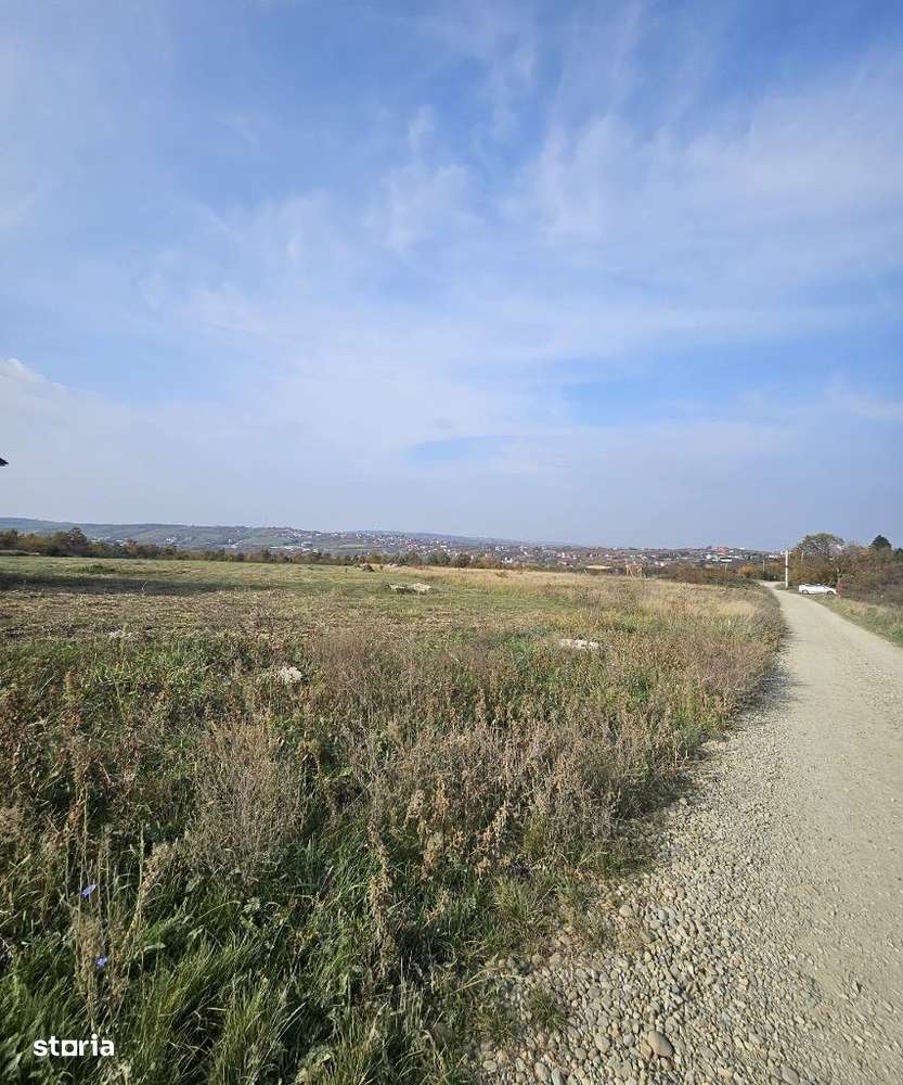 Teren intravilan de vânzare situat în Saldabagiu de Munte! - Imagine principală: 2/9