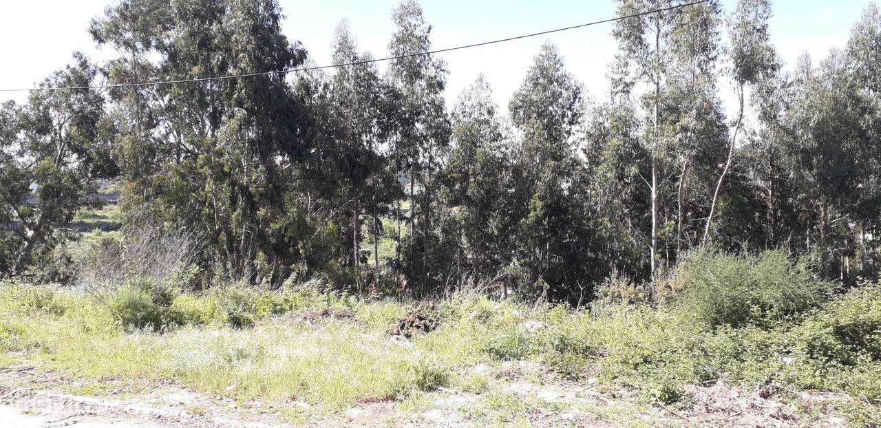 Lotes para venda em Vila das Aves - Grande imagem: 5/6