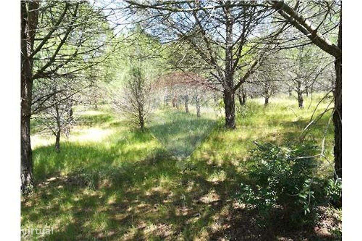 Terreno  para venda-9