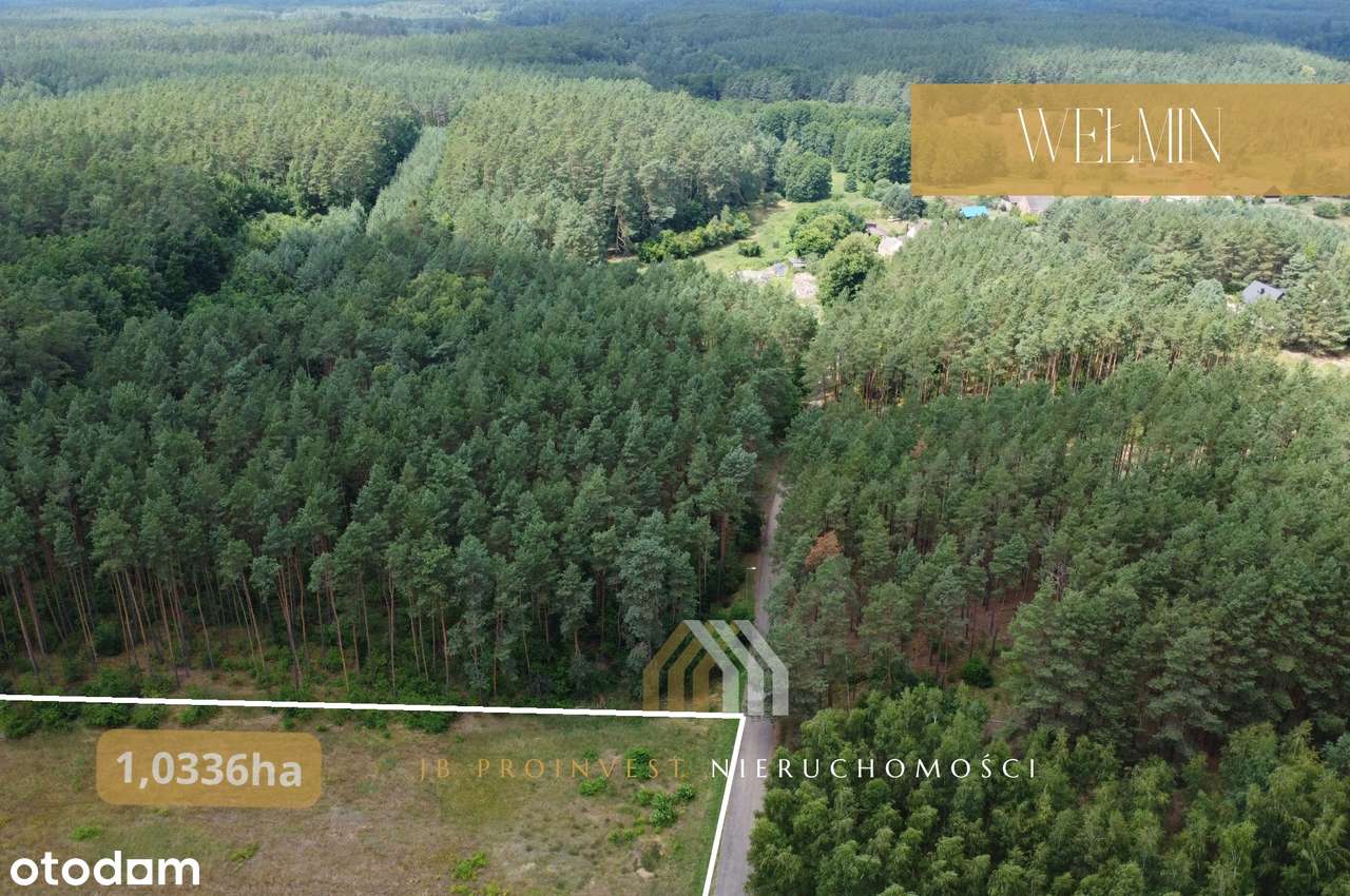 Na sprzedaż działka budowlana – 5687 m² | Wełmin | Piękny widok-8