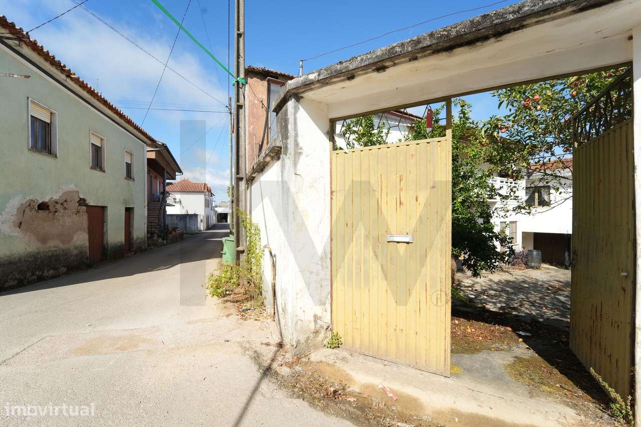 Moradia com Anexos, Terrenos e Casa de Apoio Agrícola | Casais – Vila - Grande imagem: 5/46