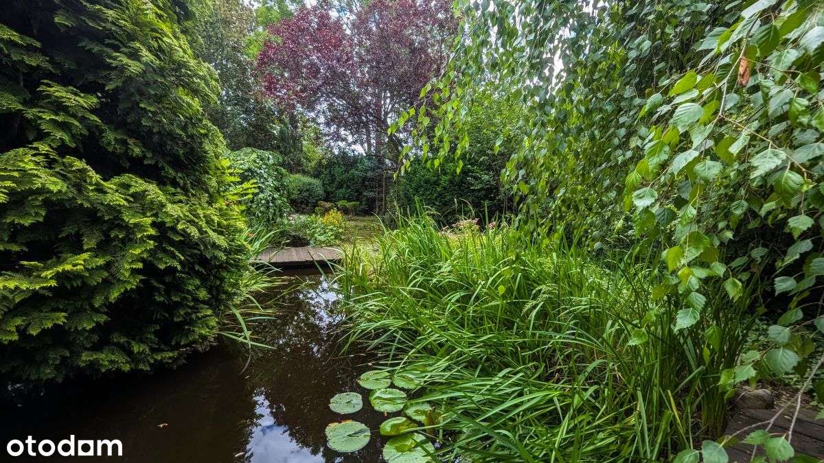 Dom z dużym ogrodem – Gliwice Brzezinka-14