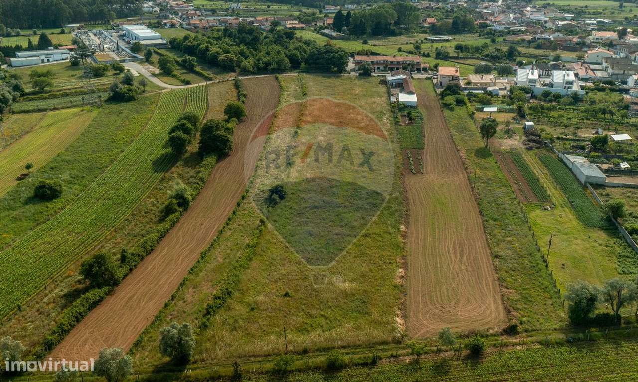 Terreno  para venda - Grande imagem: 3/4