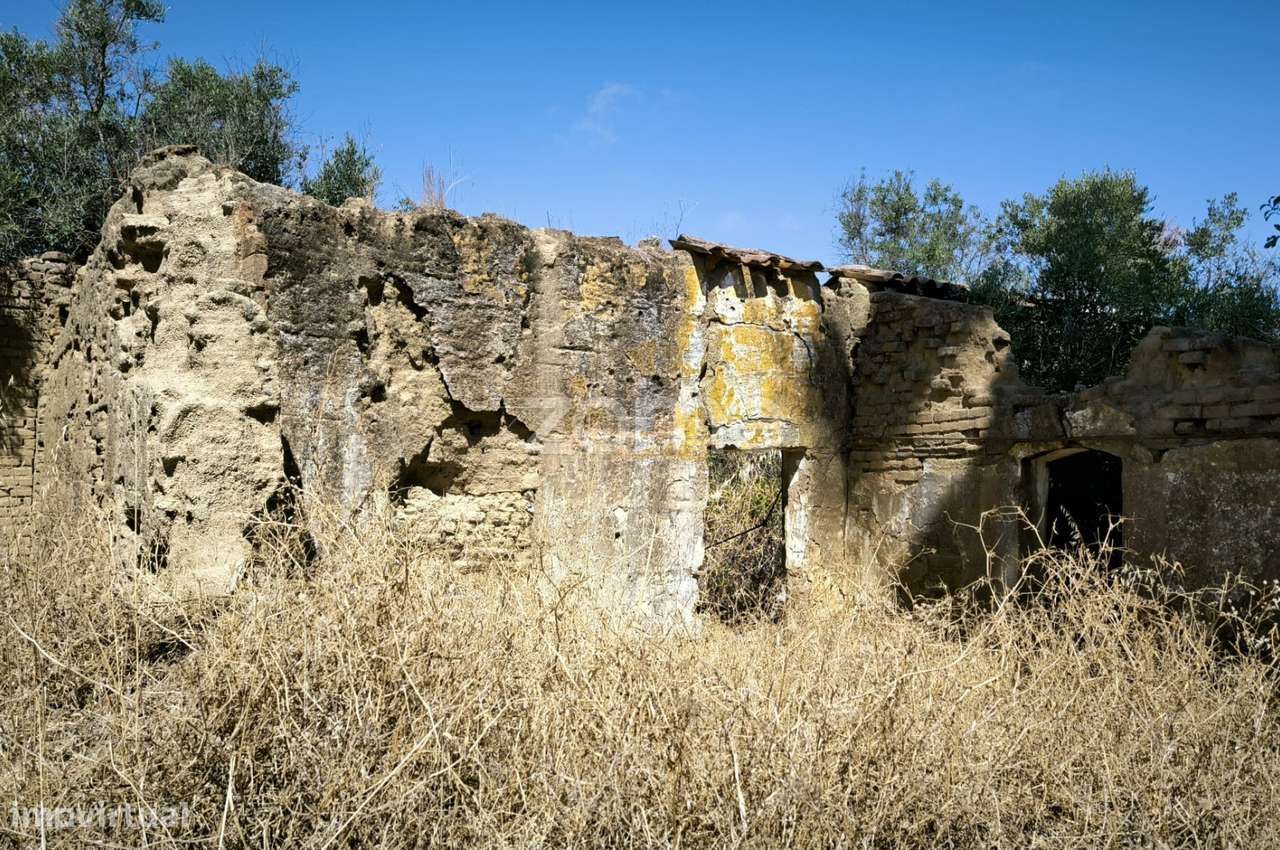 Terreno Misto ruína Vidigueira - Grande imagem: 3/10