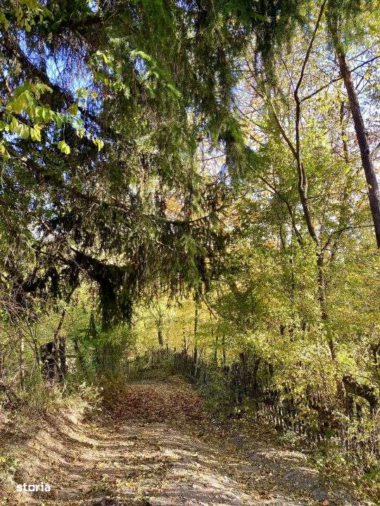 Teren retras panoramic Valea Doftanei 1350 mp panta lina, cu utilitati-11