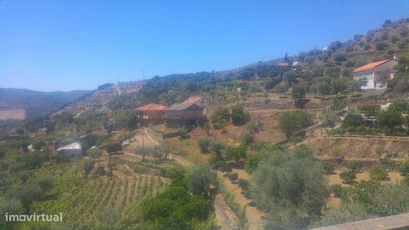 vendo casa com adega  em coleja - Grande imagem: 4/4