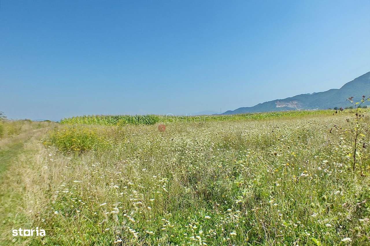 Pretabil Investitie - Imagine principală: 4/6