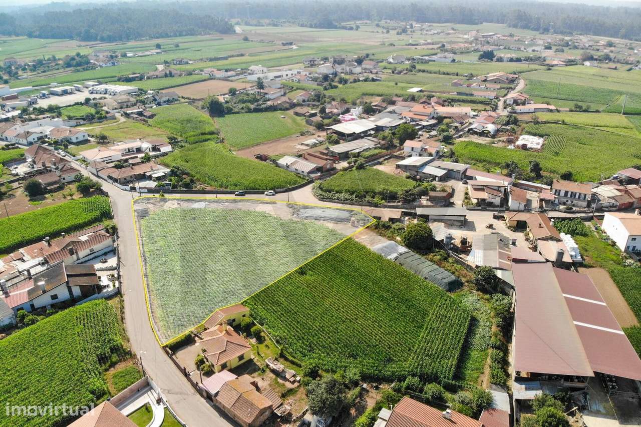 Terreno com Elevado Potencial para Investimento – Avanca, Estarreja-5