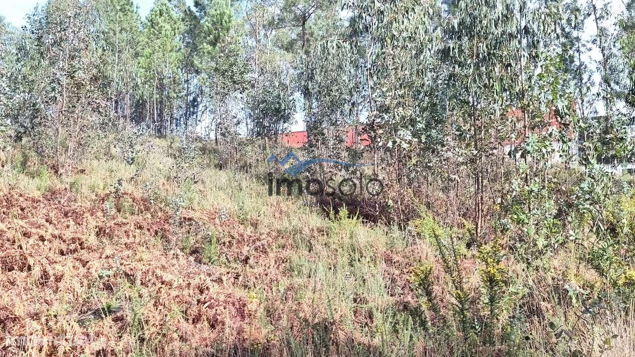 Terreno Rústico com 6350 m² em Zona Industrial - Grande imagem: 3/9
